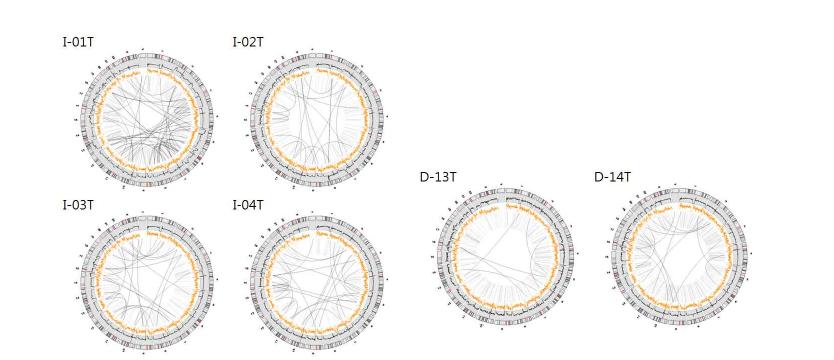 Variation of tumor genomes. (계속)