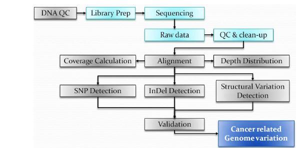 NGS를 이용한 암 특이적 유전체 변형 발굴 프로세스