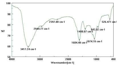 FT-IR spectrum of ascorbic acid loaded stearoyl chitosan nanoparticle (C18).