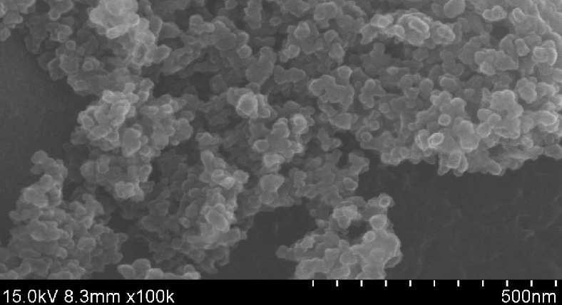 Scanning electron micrographs of M.W. 3,000, 0.3%, W/V chitosan-coated nano liposome containing functional ingredient molecules.
