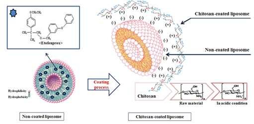 The schema of liposome, nano liposome that was coated by chitosan