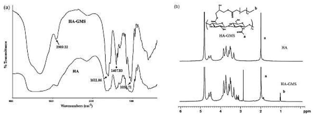 (a) FT/IR spectra; (b) 1H NMR of HA and HA-GMS.
