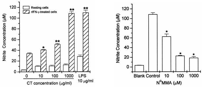 Effect of Hyunhosaek on NO synthesis in IFN-γ-stimulated macrophages