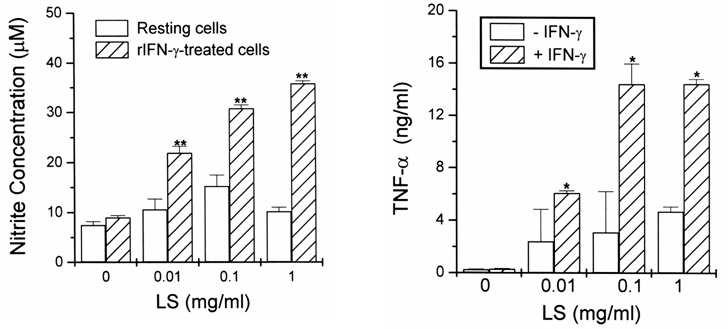 Effect of Ikmocho on NO & TNF-α production in macrophages