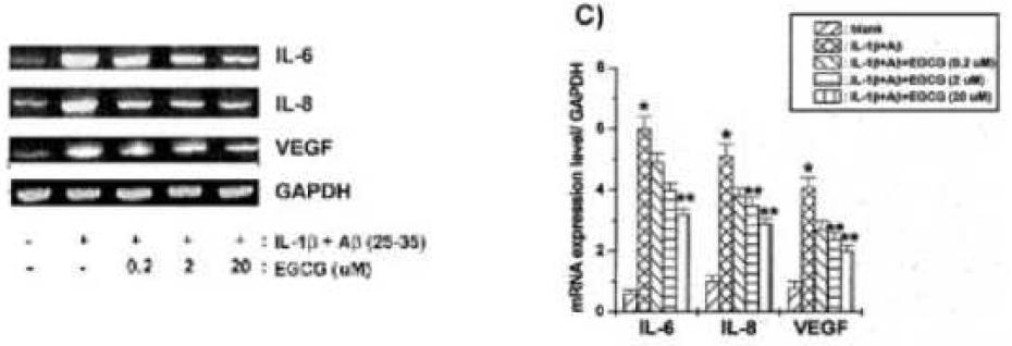 Effect of EGCG on cytokine production and expression in U373MG cells