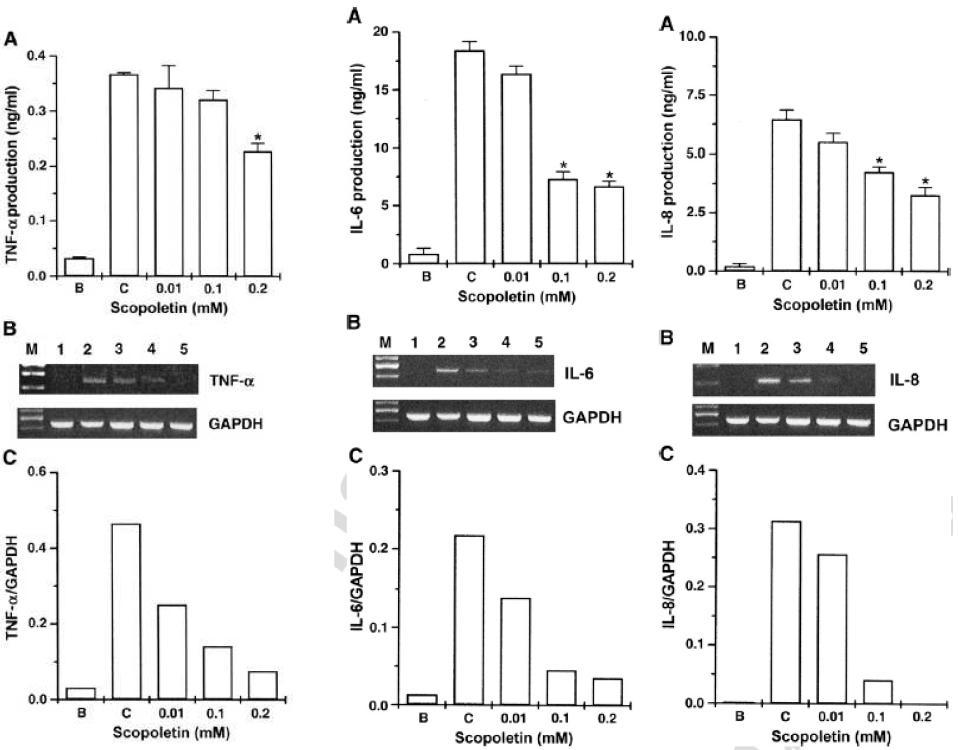 Effect of scopoletin on PMA plus A23187-induced cytokines mRNA expression