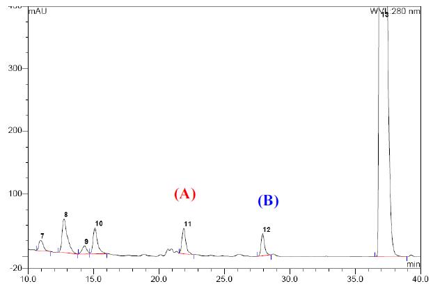 HPLC Chromatograms of 70% EtOH extract of Allium victorialis leaves monitored at 280nm (A) Quercetin, (B) .