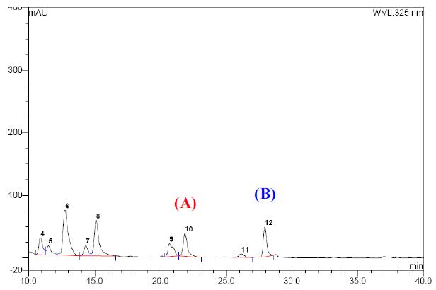 HPLC Chromatograms of 70% EtOH extract of Allium victorialis leaves monitored at 325nm (A) Quercetin, (B) Kaempferol.