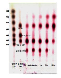 TLC를 이용한 TreX와 G2-β-CD 반응 생성물의 TLC 분석