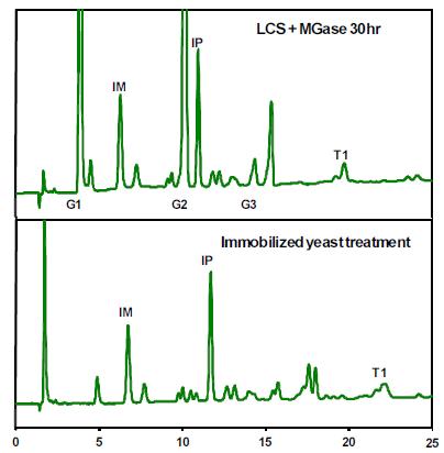 MGase를 이용하여 LCS로 부터 생산한 분지올리고당의 HPAEC 분석