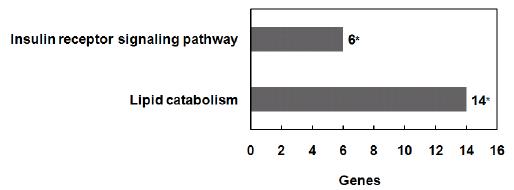 Upregulated pathways in db/db mice compared to C57BL/6 mice, *, P-value<0.05