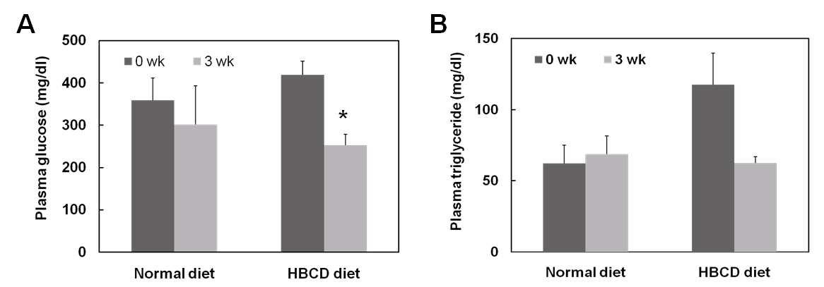 Blood glucose and triglyceride levels in HBCD-feeding db/db mice