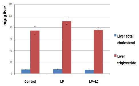 Liver lipid concentration were determined from C57BL/6 male mice after lactic acid bacteria administration.