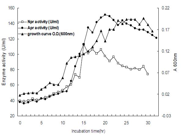 Growth curve and enzyme activity curve of Bacillus amyloliquefaciens FSE-68.