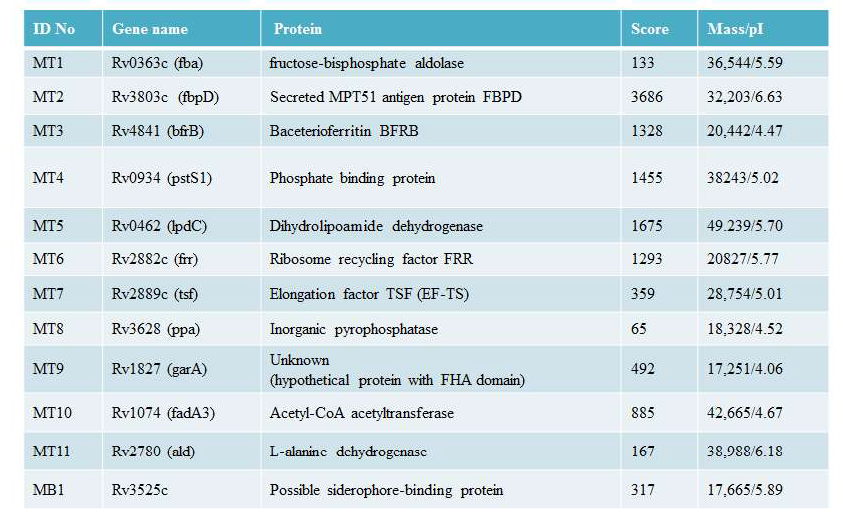 Identification of abundantly expressed protein in MTB-CF or BCG-CF