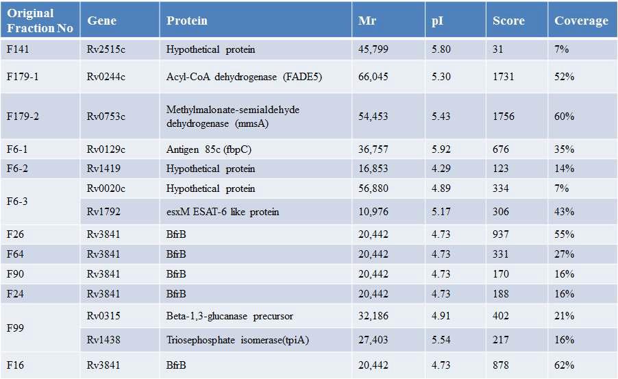 Identification of proteins with strong IFN-γ producing ability in human PBMCs