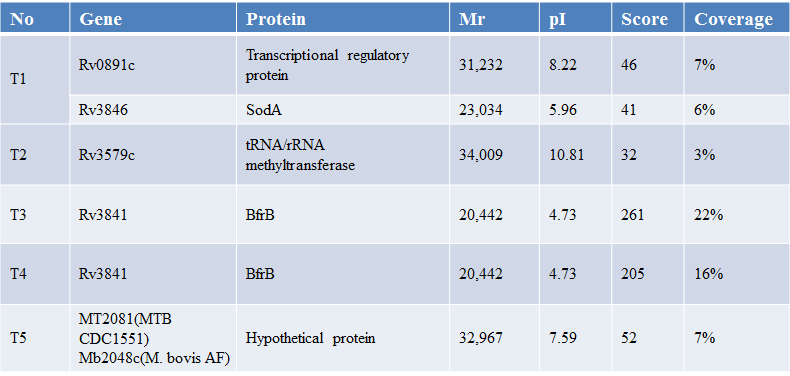 Identification of proteins with strong IFN-γ producing ability in mouse splenocytes.