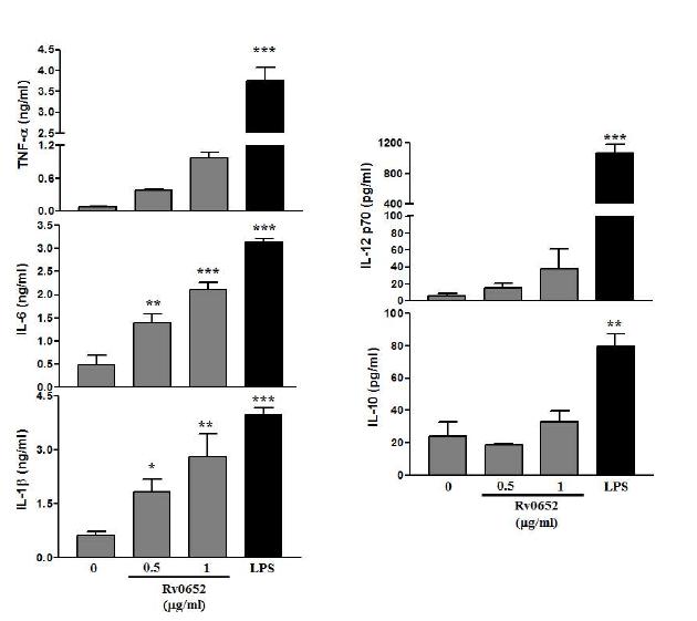 Cytokine production by Rv0652 protein-treated DCs.