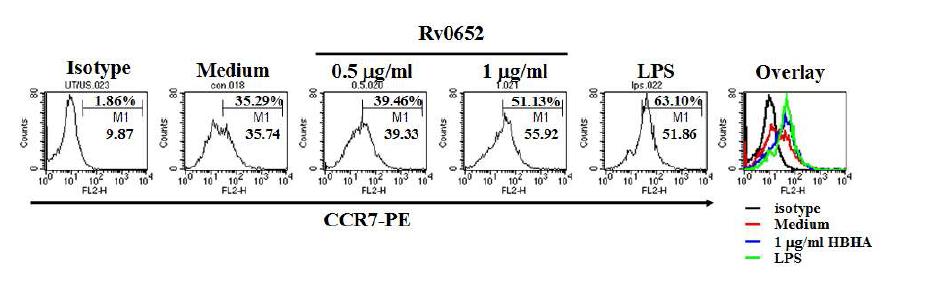 CCR 7 expression by Rv0652 protein-treated DCs.