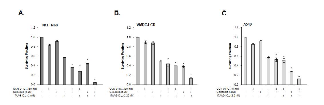 Cytotoxic effects by combined treatment of UCN01,