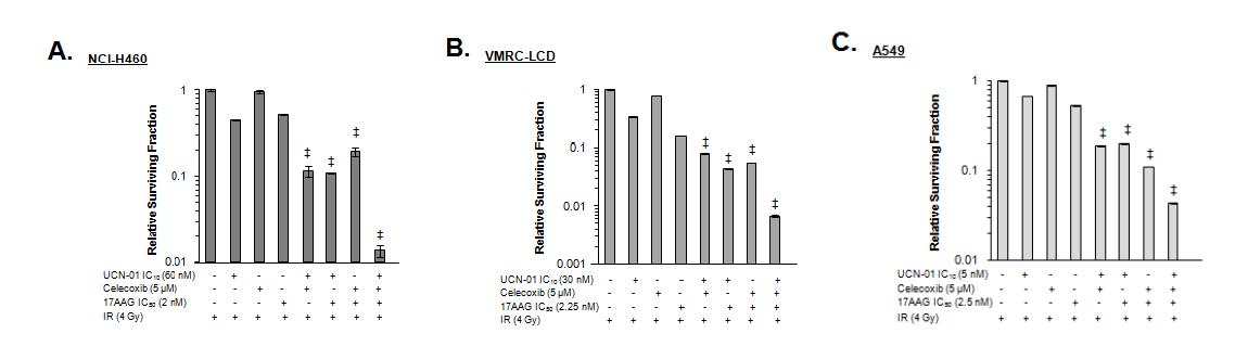 Cytotoxic effects by combined treatment of UCN01,