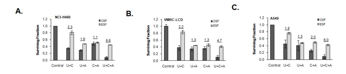 Analysis of drug synergism in three lung cancer cell lines by independent action model