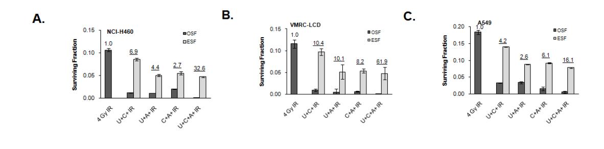 Analysis of radiosensitizing effect by drug combined treatment in three lung cancer cell lines by independent action model