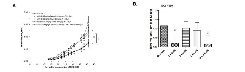 Tumor growth delay assay after combined treatment of UCN01, celecoxib, and 17-AAG with IR in BAB/C nude mouse implantated with NCI-H460 cancer cells.