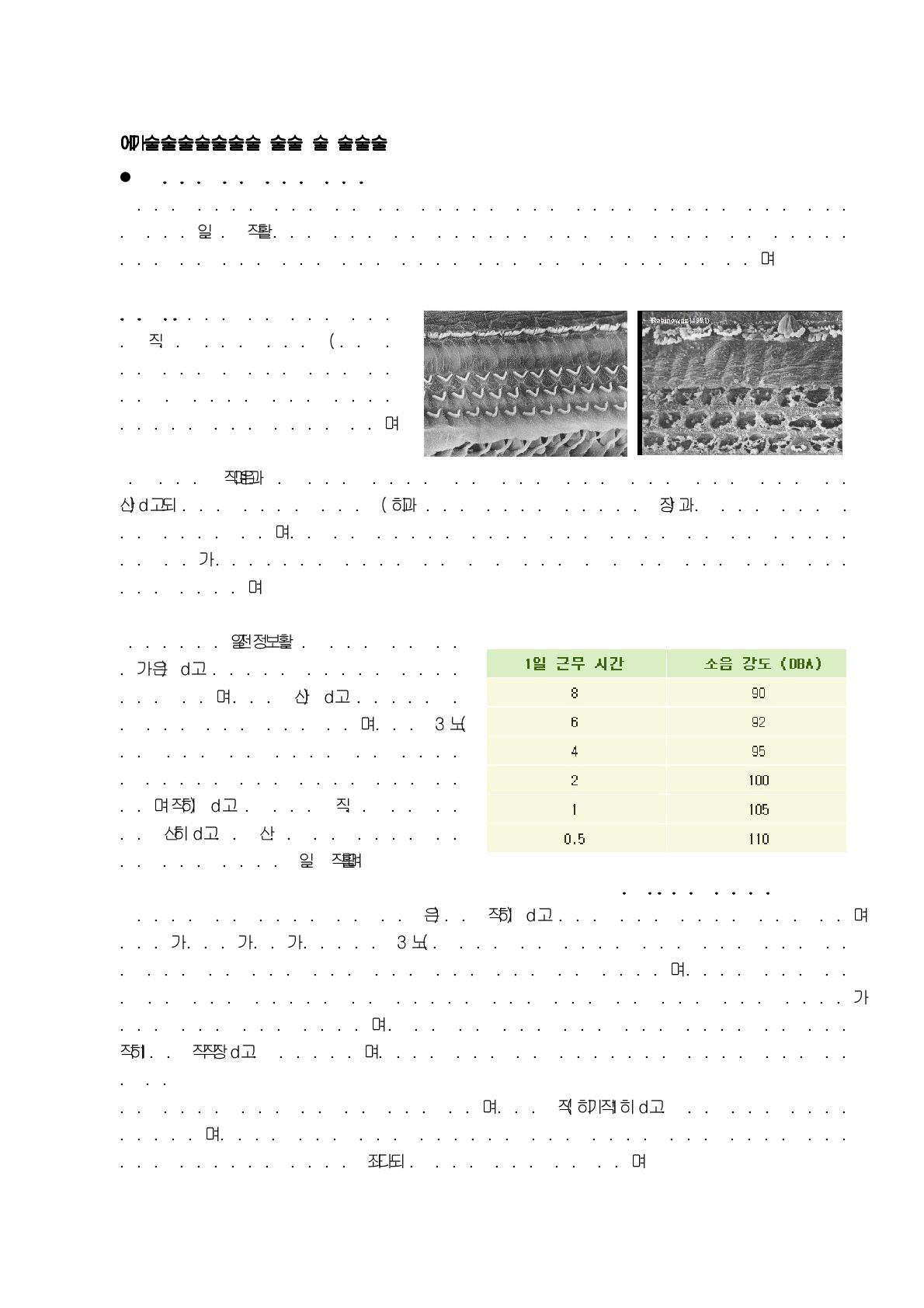 소음 허용한계