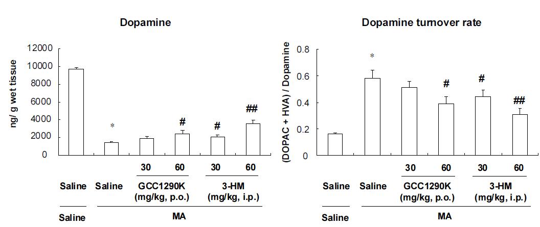 MA의 투여에 의한 선조체의 dopamine 수치 감소와 dopamine turnover rate의 증가에 대한GCC1290K와 3-HM의 약리효능 평가.