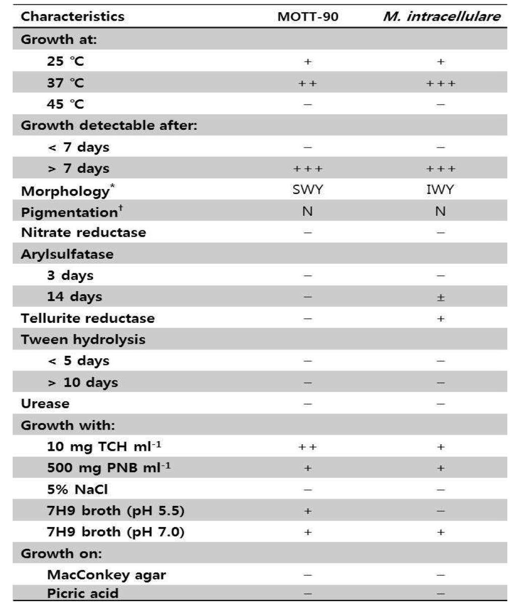 MOTT-90 분리 주와 M. intracellulare의 생화학적 특성을 비교, 분석한 목록.