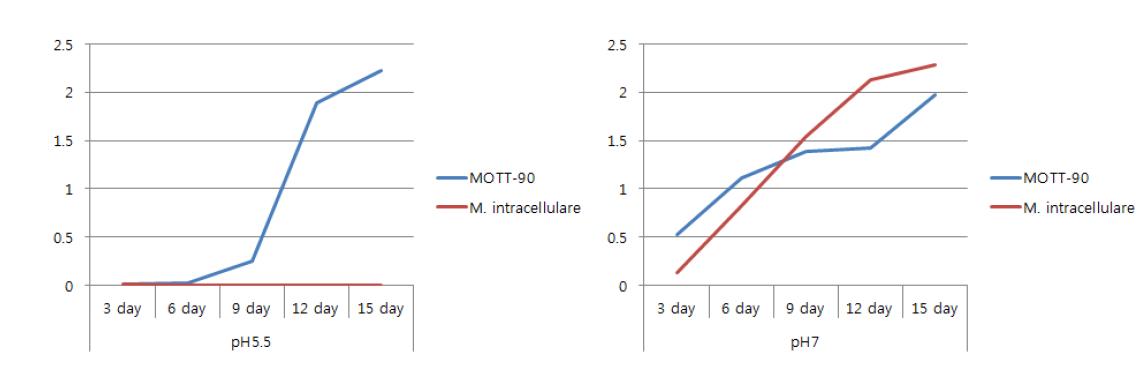 MOTT-90과 M. intracellulare의 pH 5.5와 pH 7에서 생장 곡선 비교.