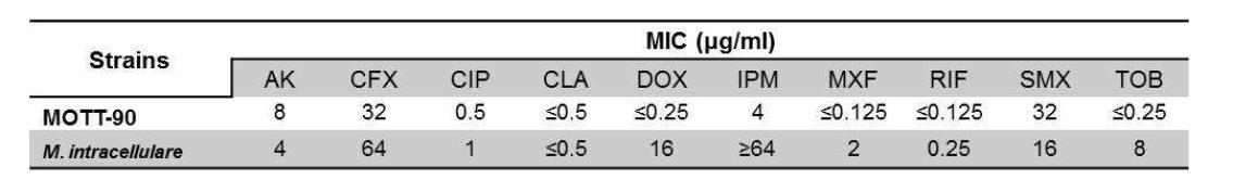 MOTT-90 균주와 M. intracellulare의 항생제 감수성 비교 결과