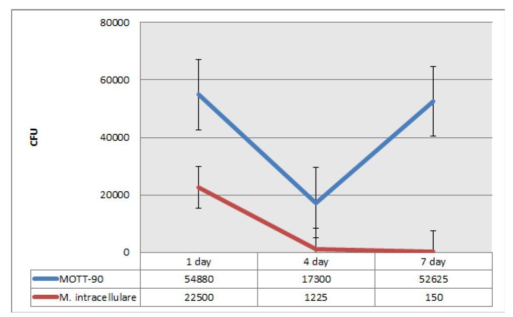 숙주 대식 세포주 (J774A.1)에서 MOTT-90과 M. intracellulare의 생존능 비교 그래프.