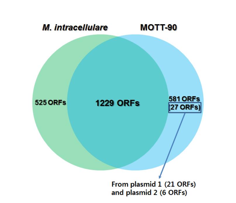 MOTT-90과 M. intracellulare의 단백질 발현 양상. 공통적으로 1,229 ORFs에 해당하는 단백질을 발현하였고, 각각 581 ORFs와 525 ORFs에 해당하는 단백질을 특이적으 로 발현함.