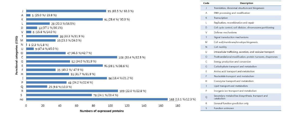 MOTT-90과 M. intracellulare에서 공통으로 발현하는 단백질들의 COG 분석 결과.