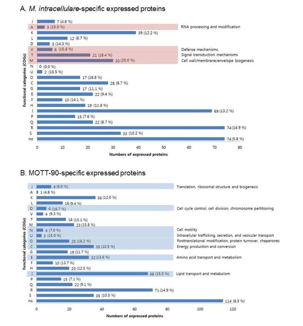 M. intracellulare와 MOTT-90에서 특이적으로 발현되는 단백질들을 기능적으로 분류한 그래프.