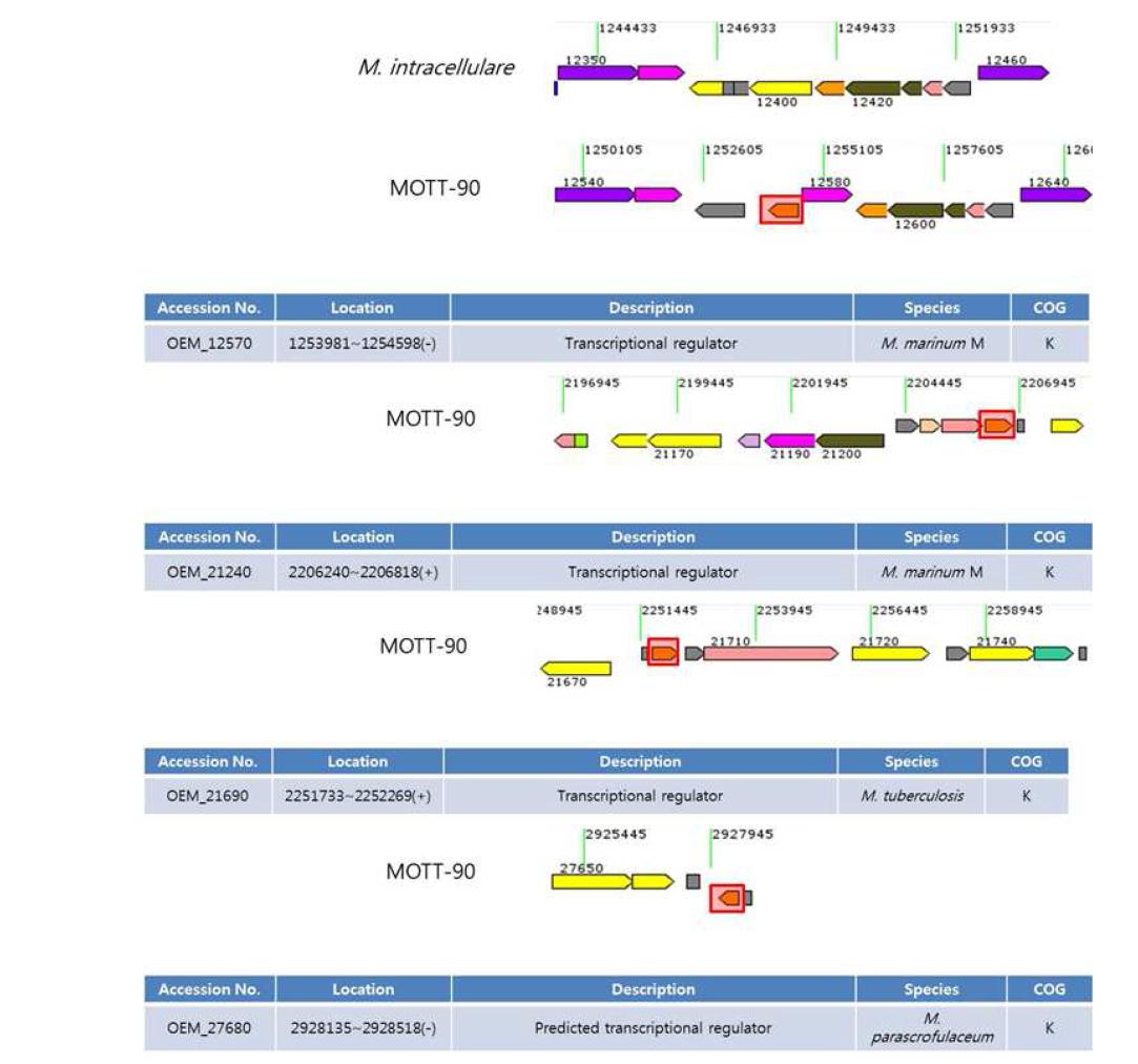 MOTT-90 specific 하게 발현된 단백질 중 transcriptional regulator의 분포모식도.