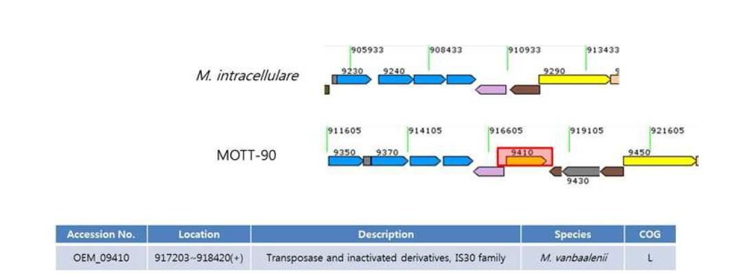 MOTT-90 specific하게 발현된 transposase의 분포 모식도.