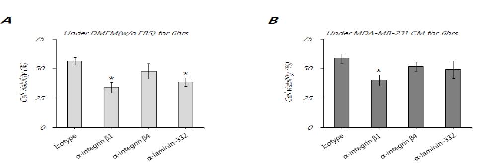 Integrin β subunit 억제에 따른 anoikis 내성 확인