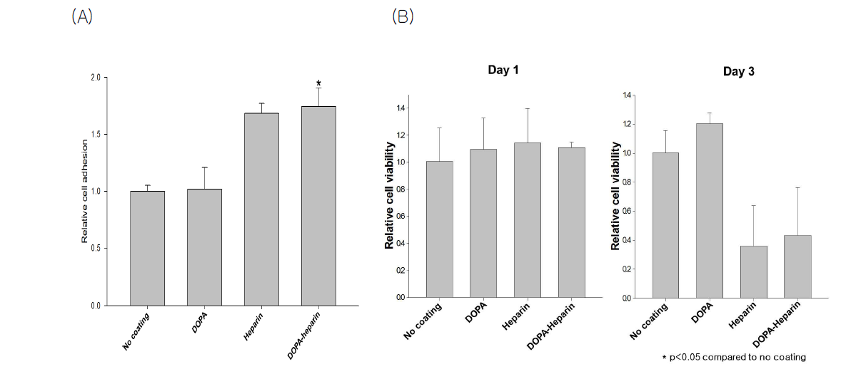 (A) DOPA-Heparin 코팅 포면에서의 세포 부착능 확인. DOPA-heparin군의 세포 부착능이 코 팅하지 않은 군들과 비교하여 높은것을 확인, (D) DOPA-Heparin표면에서의 세포 독성도 조사. Day1과 비교하여 Day3에서 세포의 viability의 감소를 확인할 수 있음.