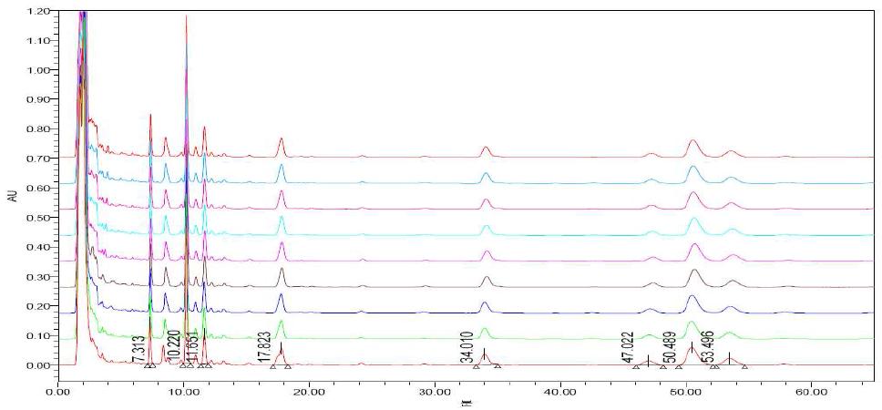 표준시료의 중첩 크로마토그램-1