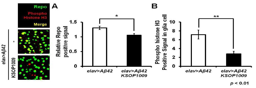 AD 동물모델에서 증가 된 repo와 미세아교세포의 분화를 감소시키는 소합향원 가감방의 효과 (A, B)