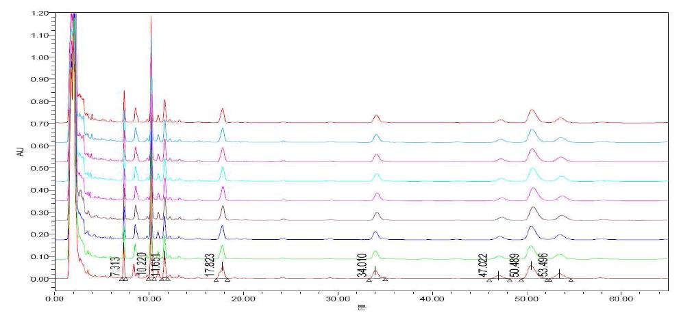 표준시료의 중첩 크로마토그램-1