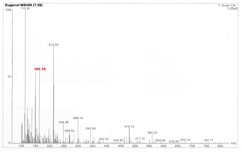 Micromass ZQ를 이용한 Eugenol(MS: 164.204) 피크의 Mass spectrum (ES-: 163.16)