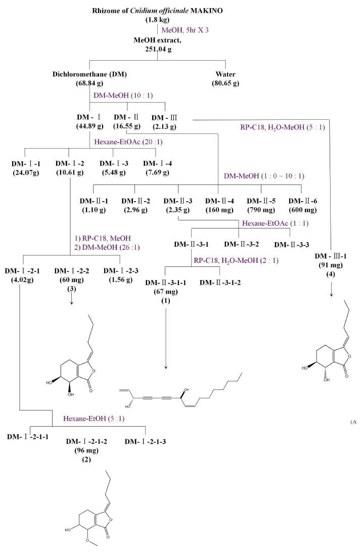 Bioassay-guided fractionation