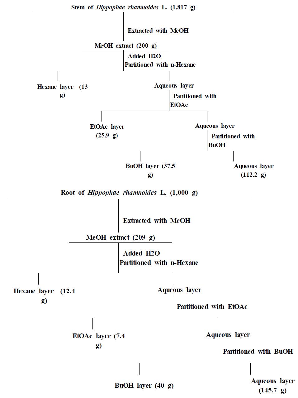 Scheme of solvent fraction procedure from the Stem and Root of Hippophae rhamnoides L.