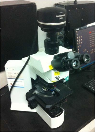 Photograph of optical microscopy.