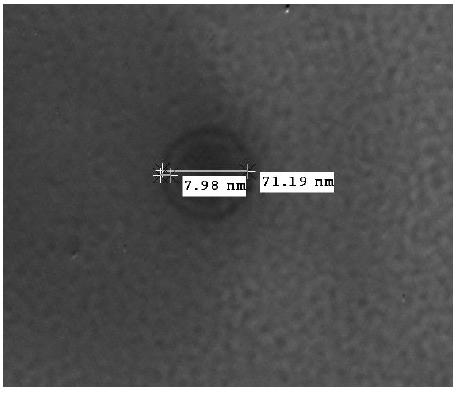 Morphology of nano-liposome by TEM.