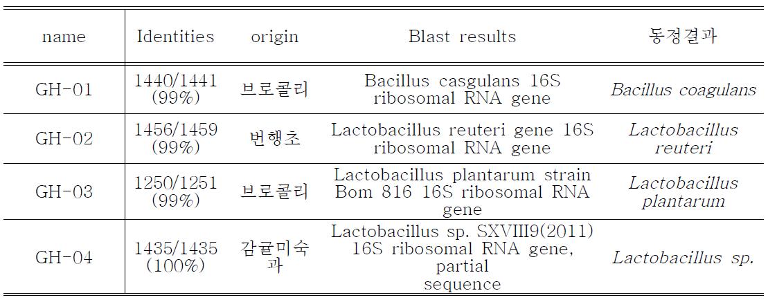 유산균 동정 결과